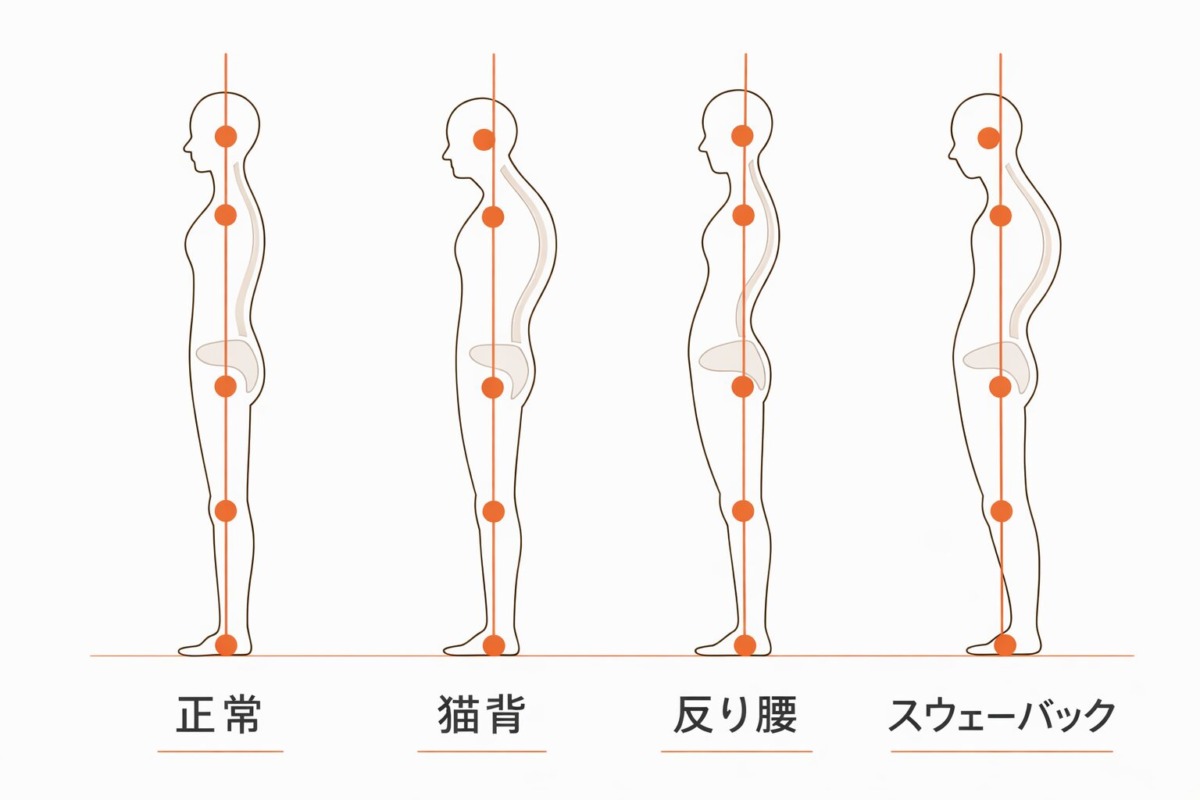 姿勢の４分類